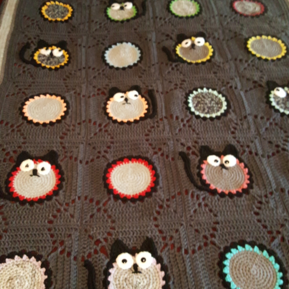 Cat Afghan